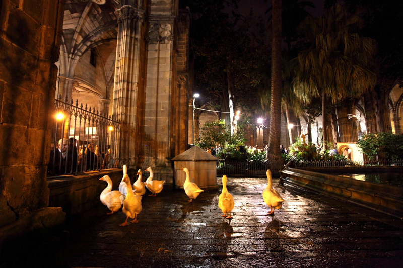 barrio gotico barcelona